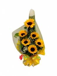 Braçada de Girassol na tela